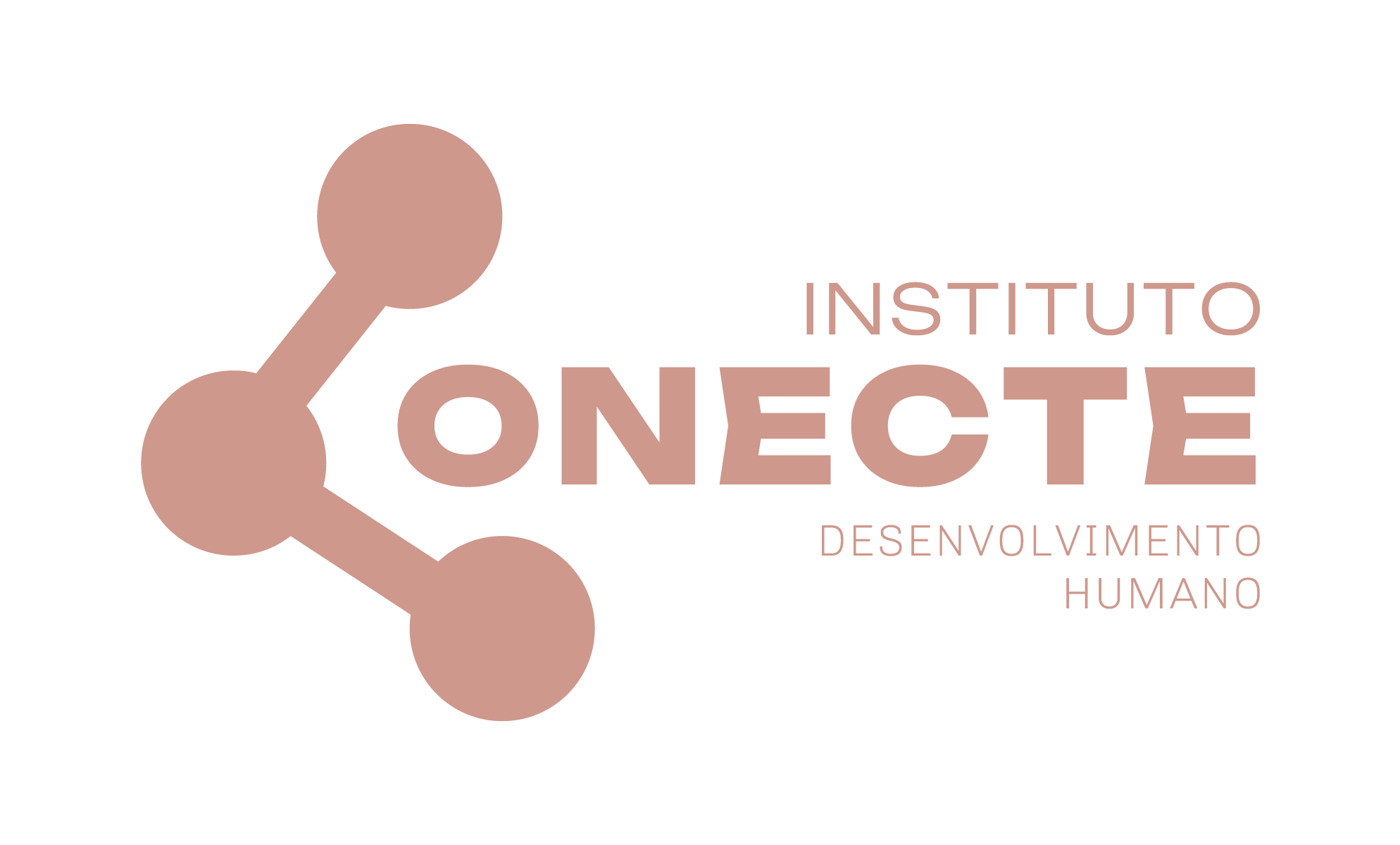 Instituto Conecte