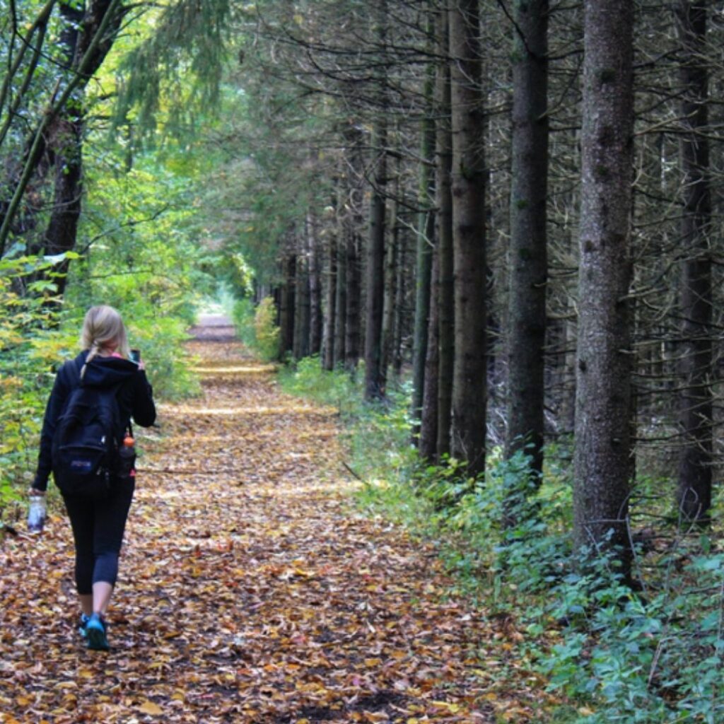 A espiritualidade nos ajuda na busca pelo sentido da vida-Espiritualidade-transformacao-caminho-da-cura-caminhada-natureza.jpg