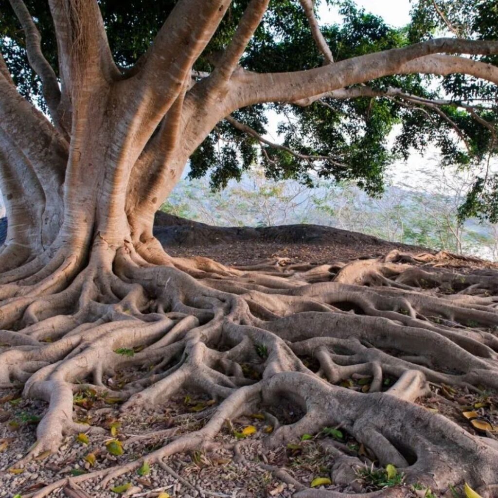 Ansiedade-mal-do-seculo-afeta-a-saude-emocional-mental-espiritual-criam-raizem-profunda