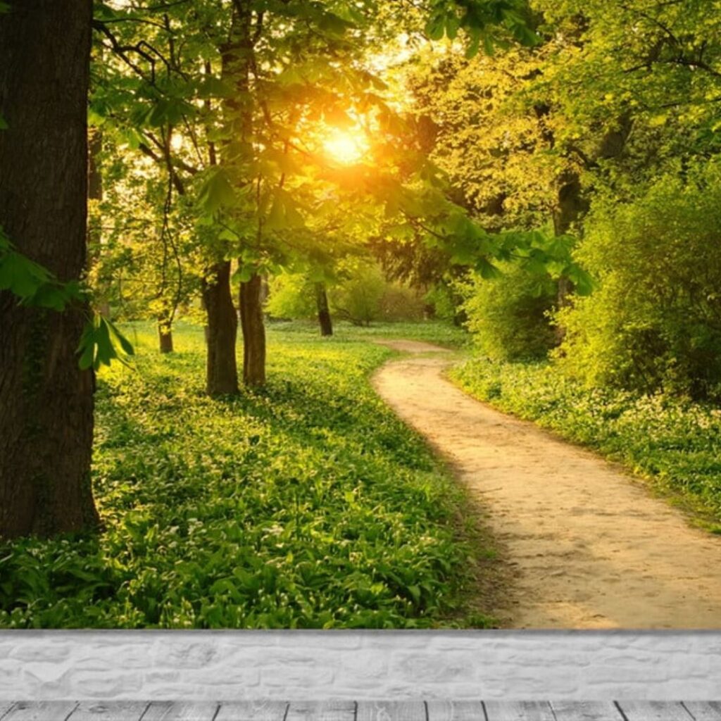 Mudança-acontece-perceber-já-temos-dentro-de-nós-buscamos-transformação-cura-criança-interior-mudança-acolhida-aceitação-perdão-autocompaixão-ressignificação-mudança-coração-fé-oração