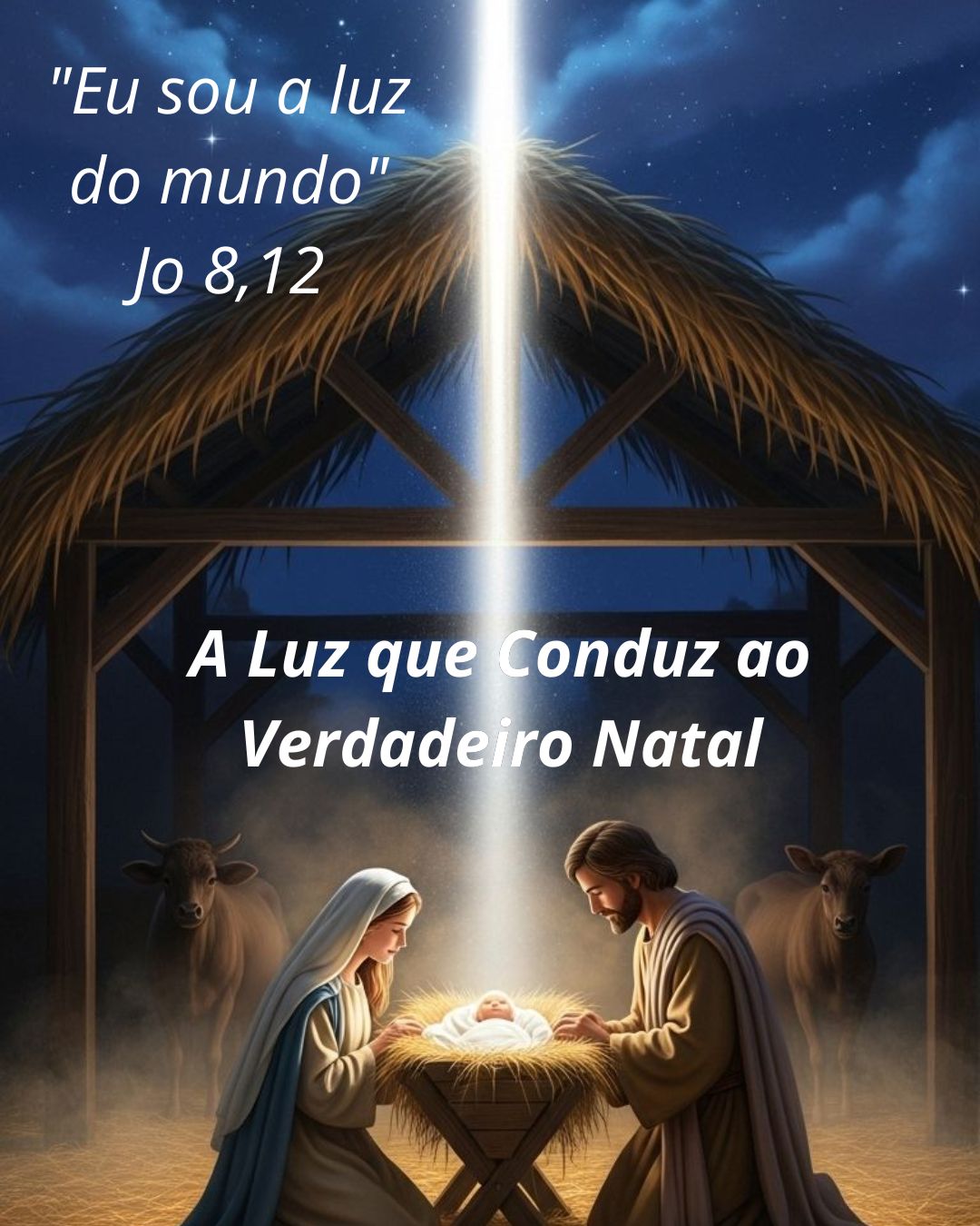 "Eu sou a luz do mundo": A Luz que Conduz ao Verdadeiro Natal