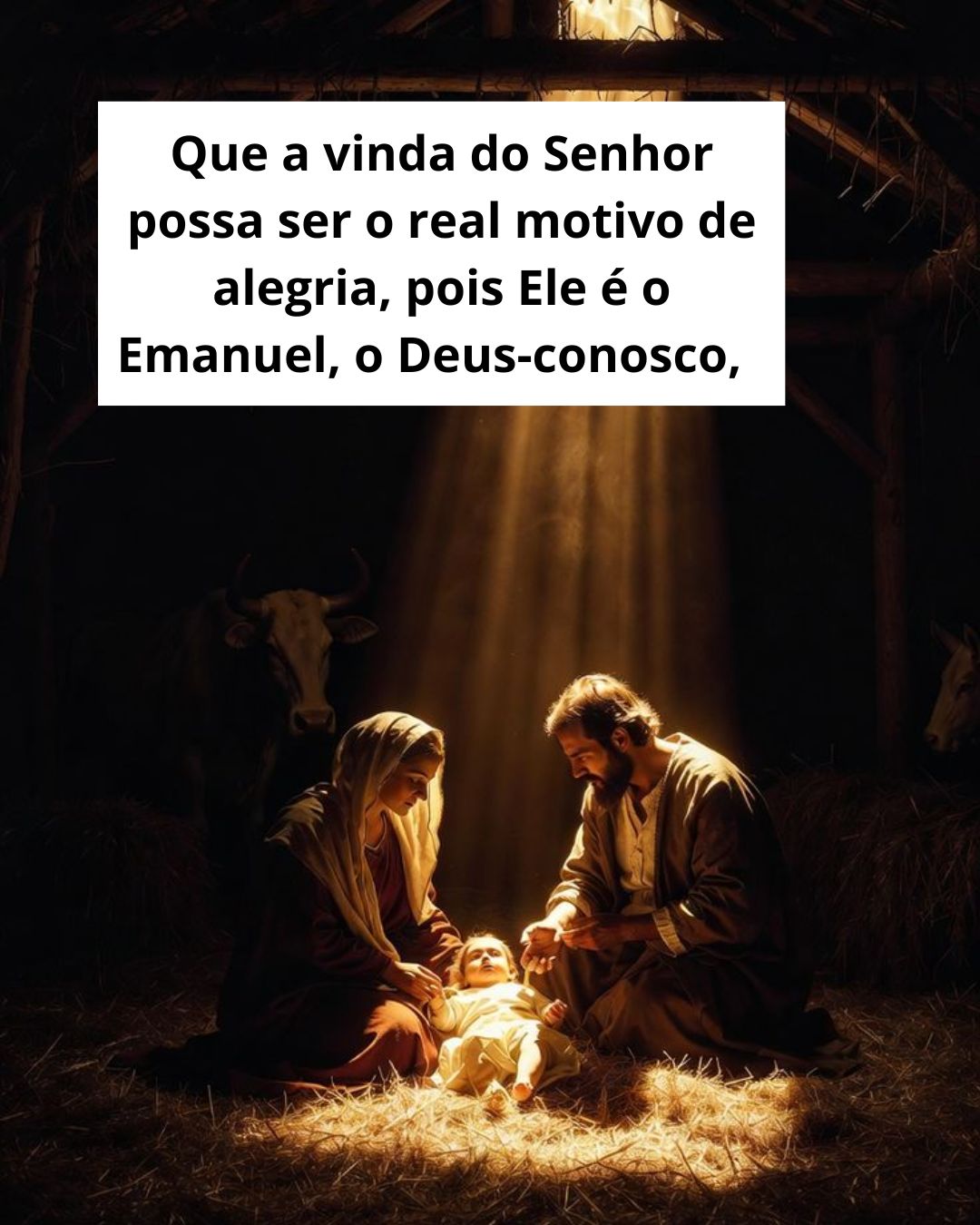 Esta noite não é uma noite qualquer. Deus veio habitar no meio de nós.